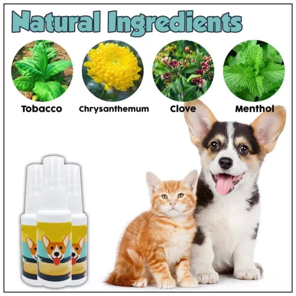 PottyPal – Natural Potty Training Spray for Dogs & Cats (Pack of 2)