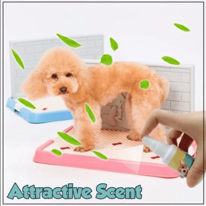 PottyPal – Natural Potty Training Spray for Dogs & Cats (Pack of 2)