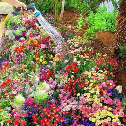 🌸 FlowerFest 100 – Variety Pack of Flower Seeds
