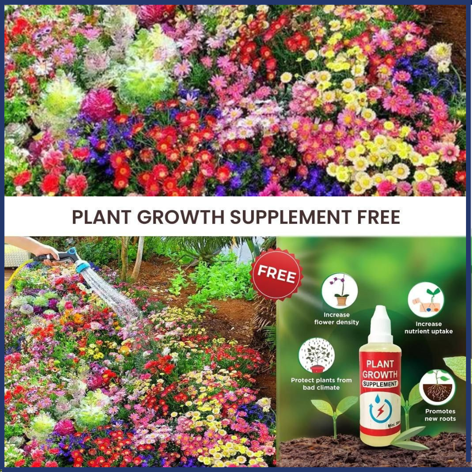 🌸 FlowerFest 100 – Variety Pack of Flower Seeds