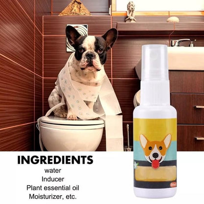 PottyPal – Natural Potty Training Spray for Dogs & Cats (Pack of 2)