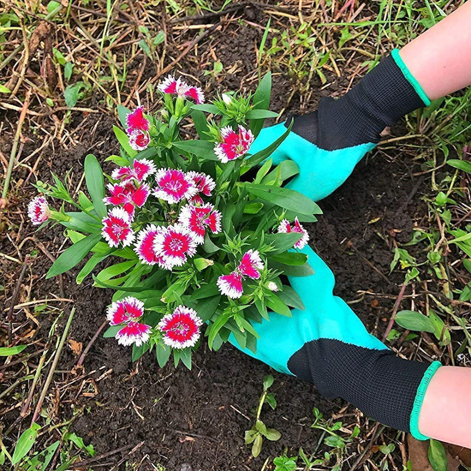 Garden Claws – Dig, Plant & Rake With Ease