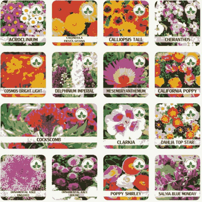 🌸 FlowerFest 100 – Variety Pack of Flower Seeds