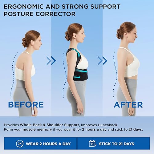 SpineEase -  Posture Corrector Belt