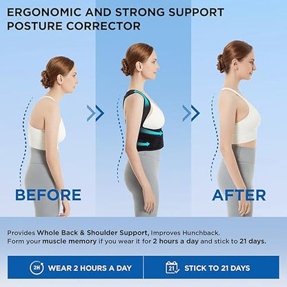 SpineEase -  Posture Corrector Belt