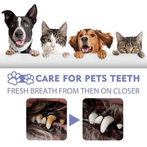 PetMint – Oral Spray for Dogs & Cats: