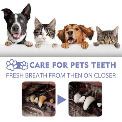 PetMint – Oral Spray for Dogs & Cats: