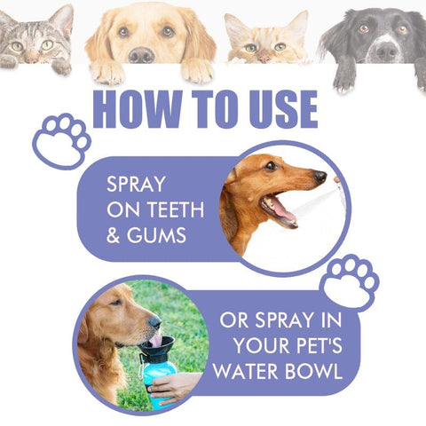 PetMint – Oral Spray for Dogs & Cats: