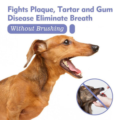 PetMint – Oral Spray for Dogs & Cats:
