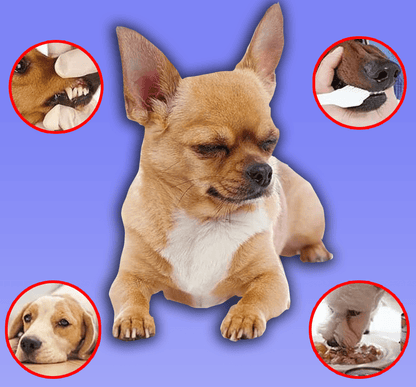 PetMint – Oral Spray for Dogs & Cats: