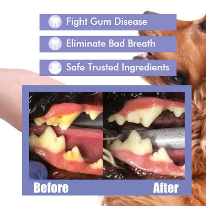PetMint – Oral Spray for Dogs & Cats: