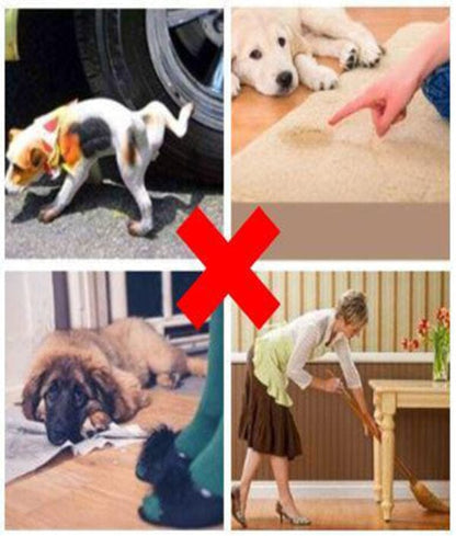 PottyPal – Natural Potty Training Spray for Dogs & Cats (Pack of 2)