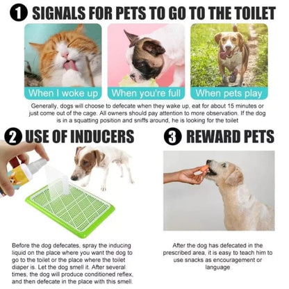 PottyPal – Natural Potty Training Spray for Dogs & Cats (Pack of 2)